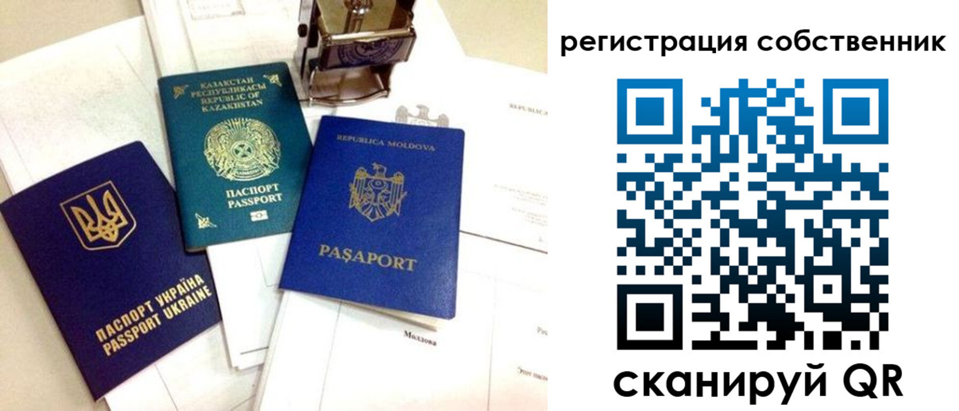 временная регистрация поиск в Волосово